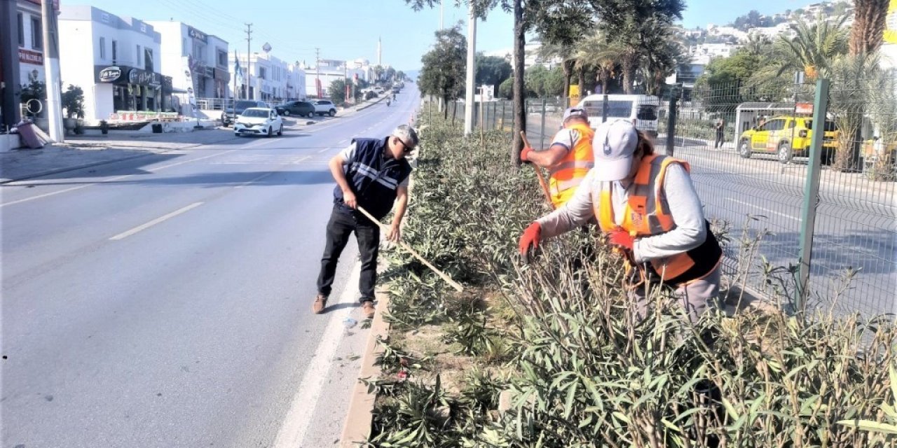 Bodrum Belediyesi ağaç budama çalışmalarını sürdürüyor
