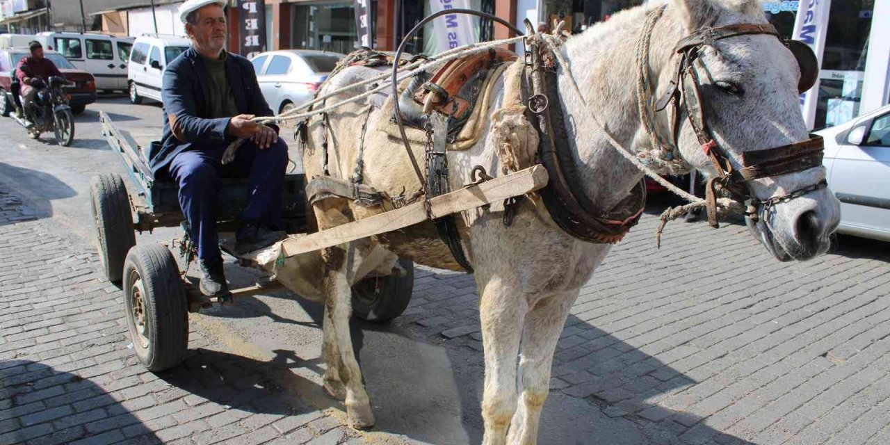 Sayıları az kalsa da ekmek parası için çalışıyorlar