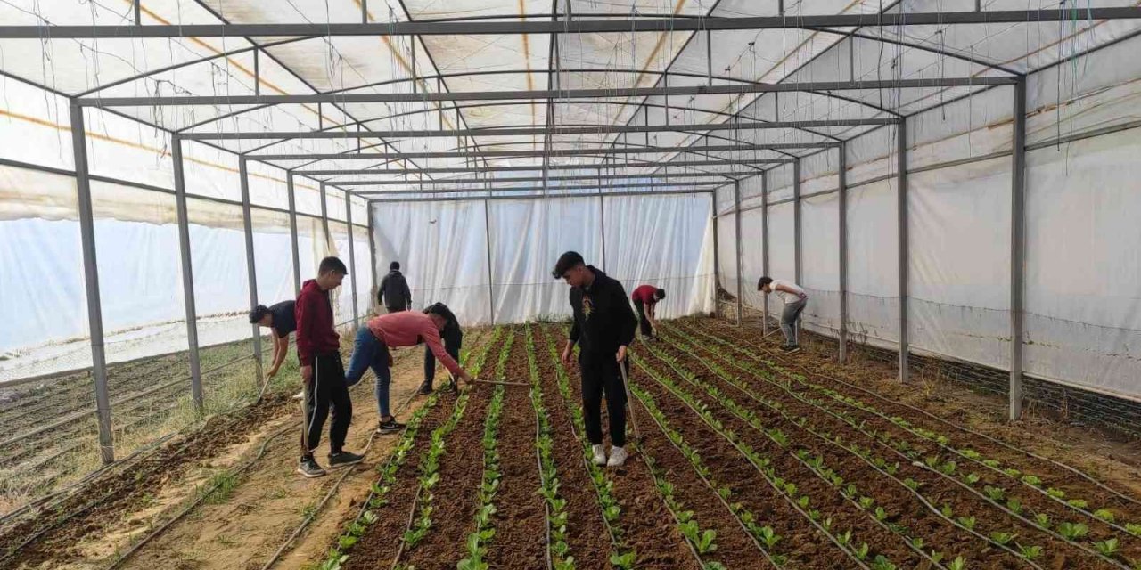 Hem öğrenecekler, hem kazanacaklar