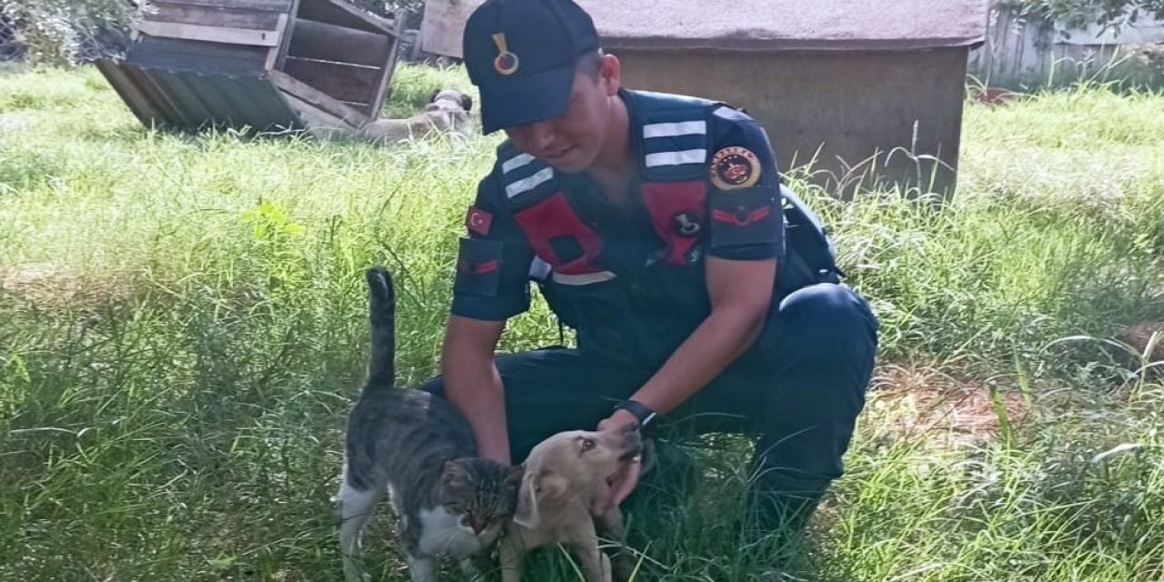 Jandarma can dostları unutmadı