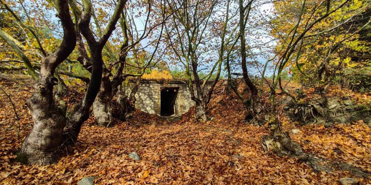 Sonbahar manzaraları mest etti