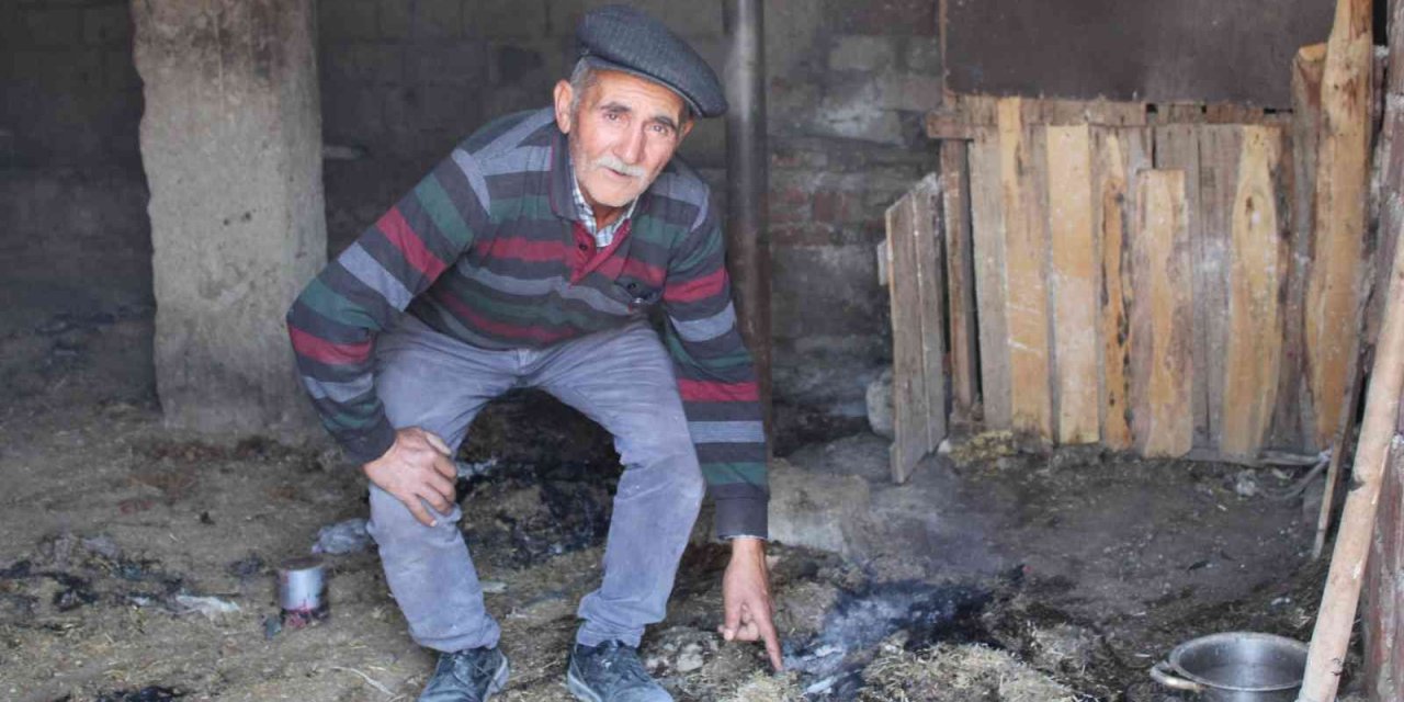 Pire için yorgan değil, saman yakıyorlar