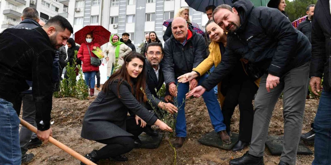 Çiğli’de 346 kadın için zeytin fidanları toprakla buluşturuldu