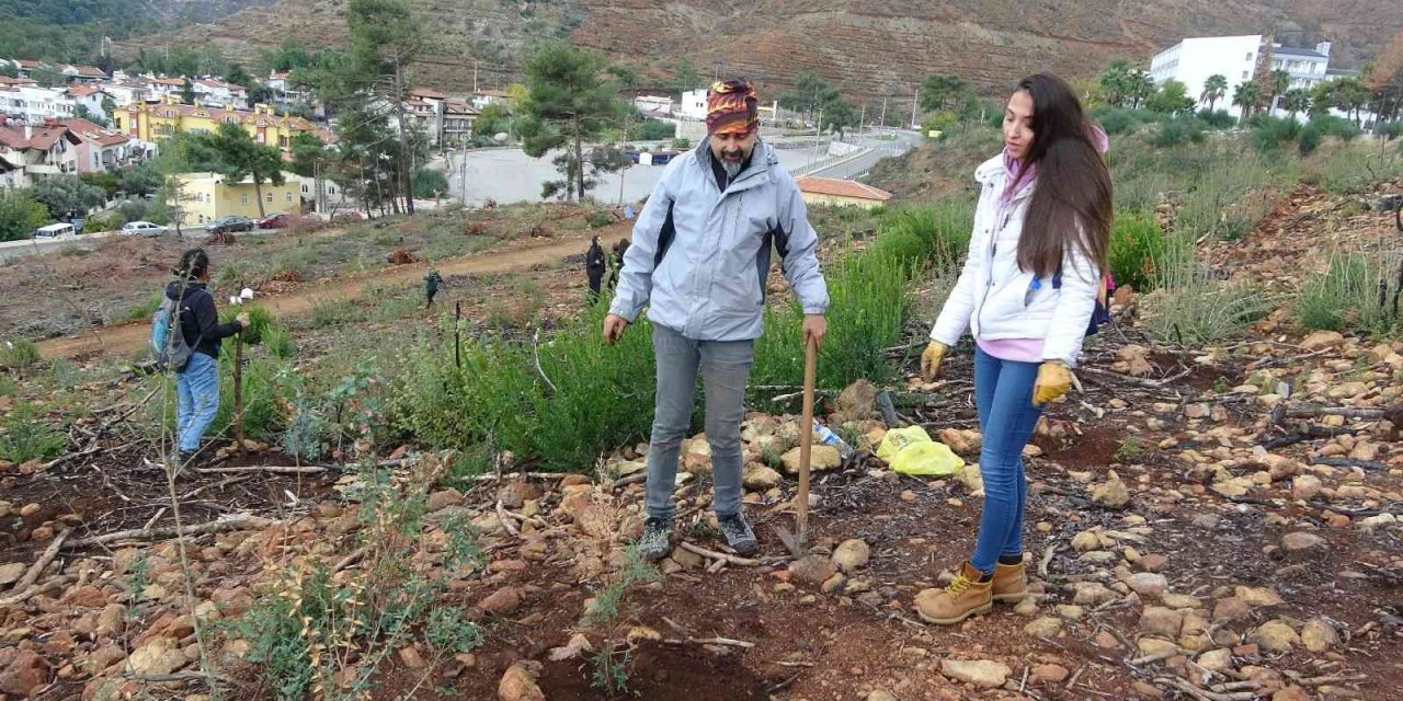 Sosyal medyadan haberleştiler, 500 fidan diktiler