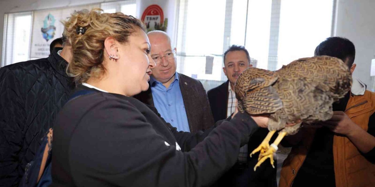 Menteşe’de kümes hayvanları gösterisi