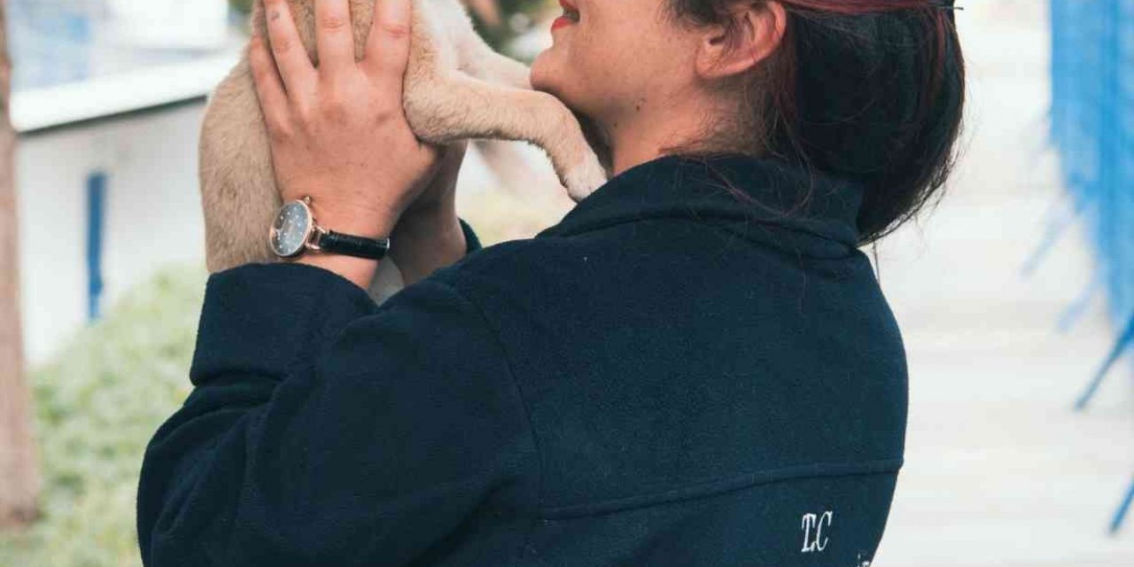 Kuşadası’ndaki hayvan rehabilitasyon merkezi internetten canlı olarak izlenebiliyor