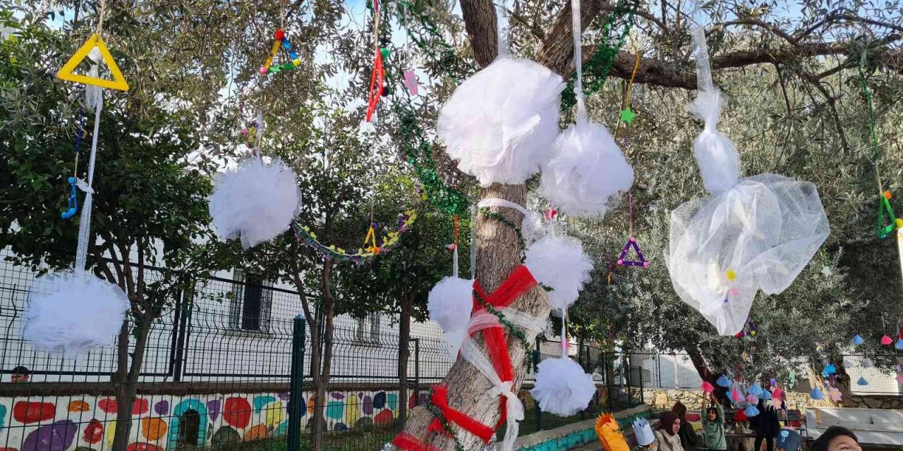 Okul bahçesindeki zeytin ağaçlarının hasadı yapılıp yağı çıkarıldı