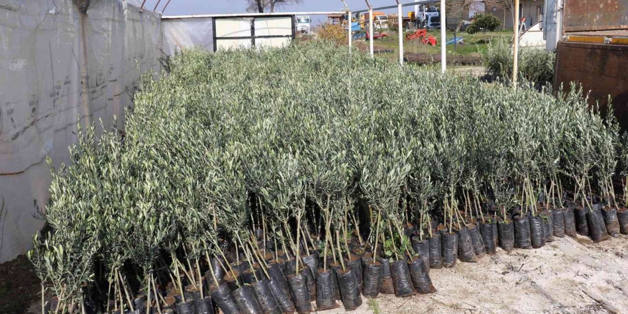 Yunusemre’den çiftçilere önemli duyuru