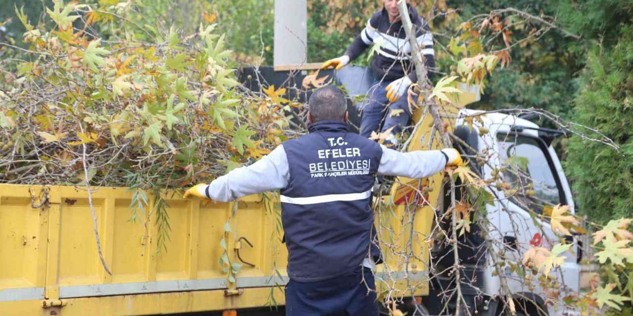 Efeler’in yeşil ekipleri budama mesaisine devam ediyor