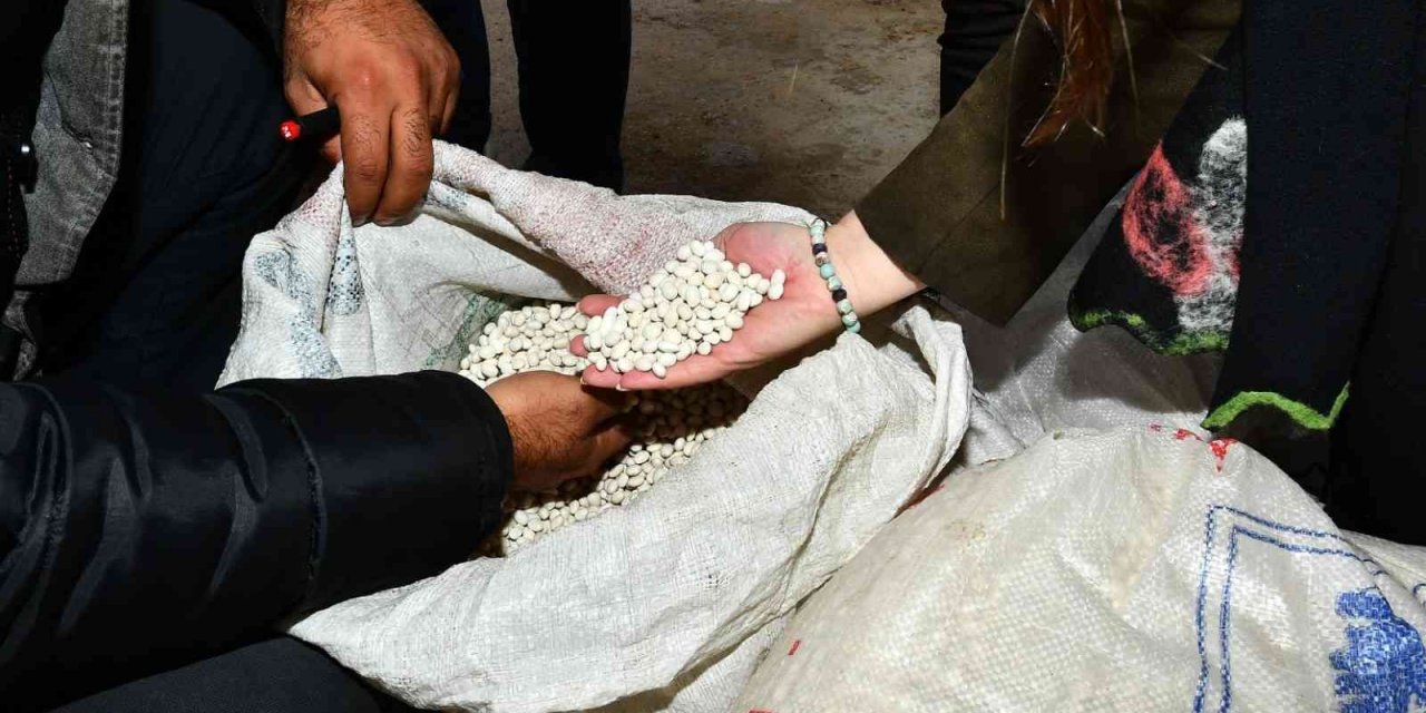 Yerli kuru fasulyeyle çiftçiye 1,5 milyon liralık destek