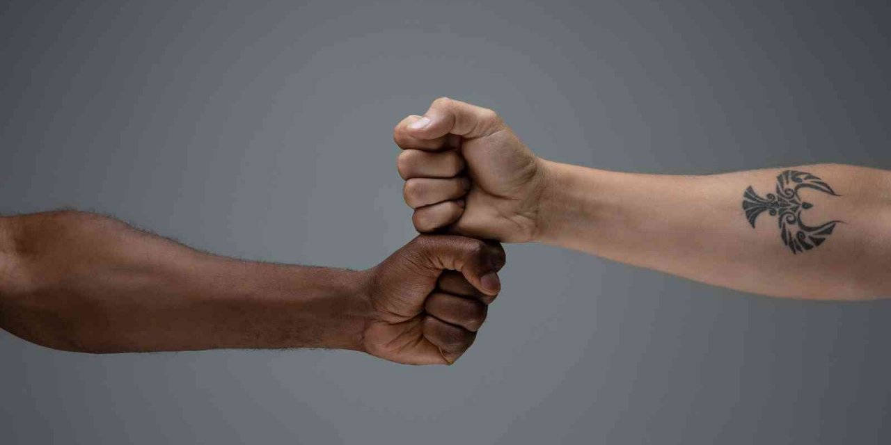 Irkçılığa karşı bilim insanlarından ortak proje