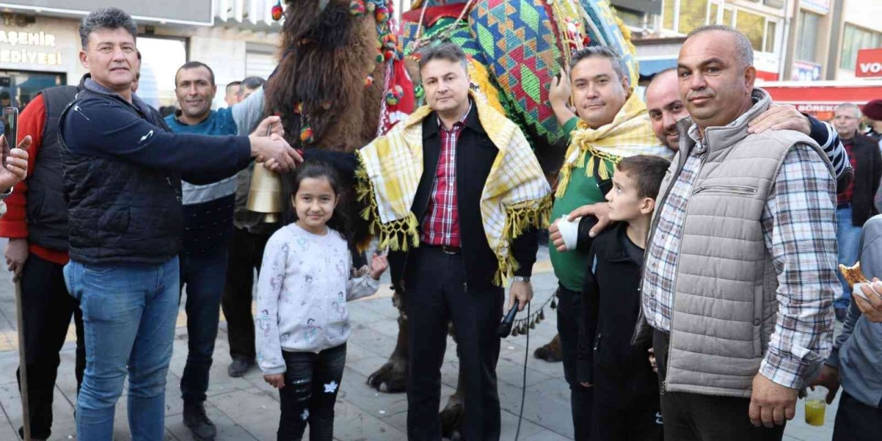 Bozdoğanlı Yakamoz ’En güzel deve’ seçildi