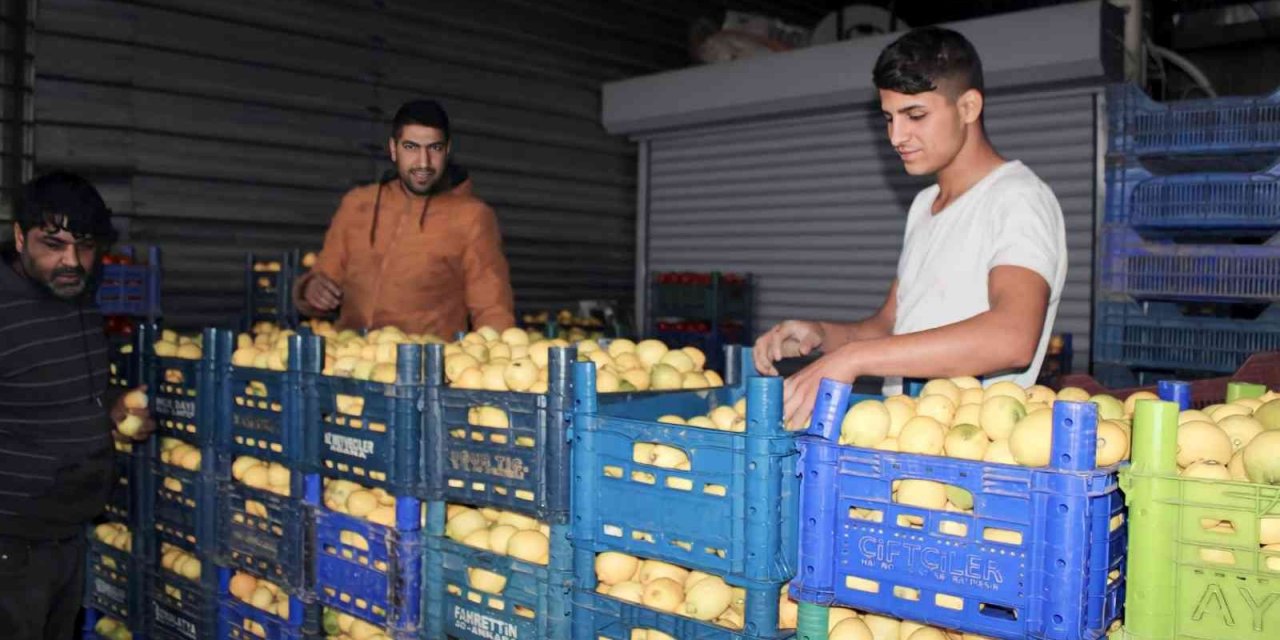Aydın’da pazarların en rağbet gören ürünü limon oldu