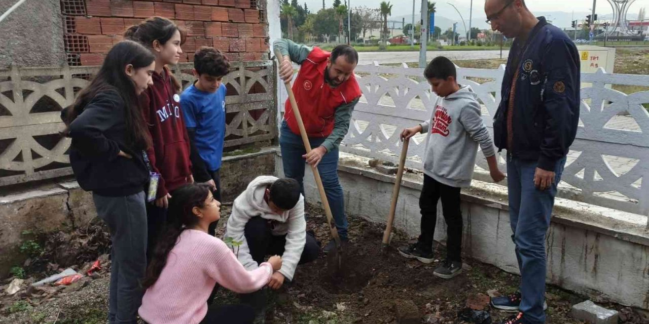 Germencik’te gönüllüler cami bahçesine fidan dikti