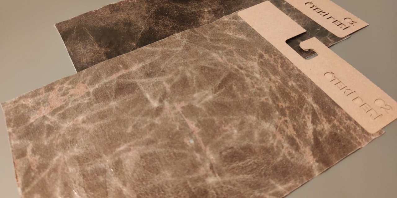 Zeytinden ilham alarak Türkiye birincisi oldular