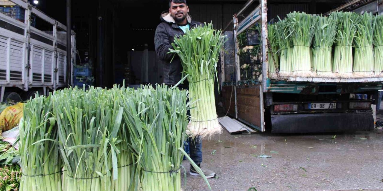 Grip mevsimi geldi pırasaya olan ilgi arttı