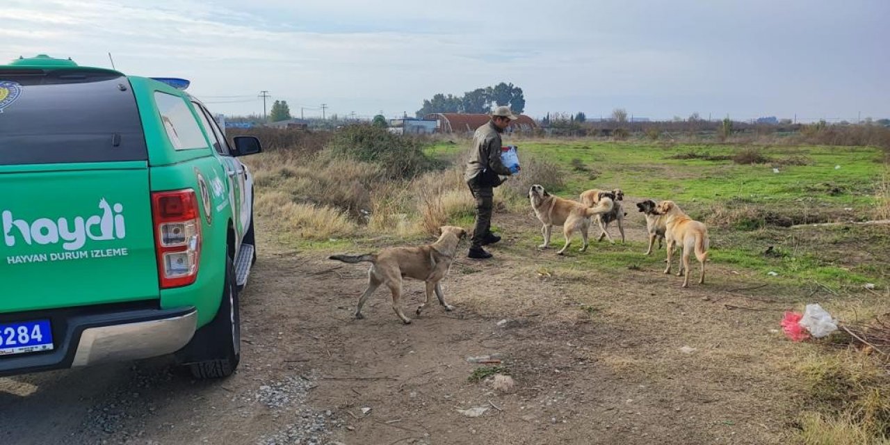 Aydın’da sokak canları unutulmadı