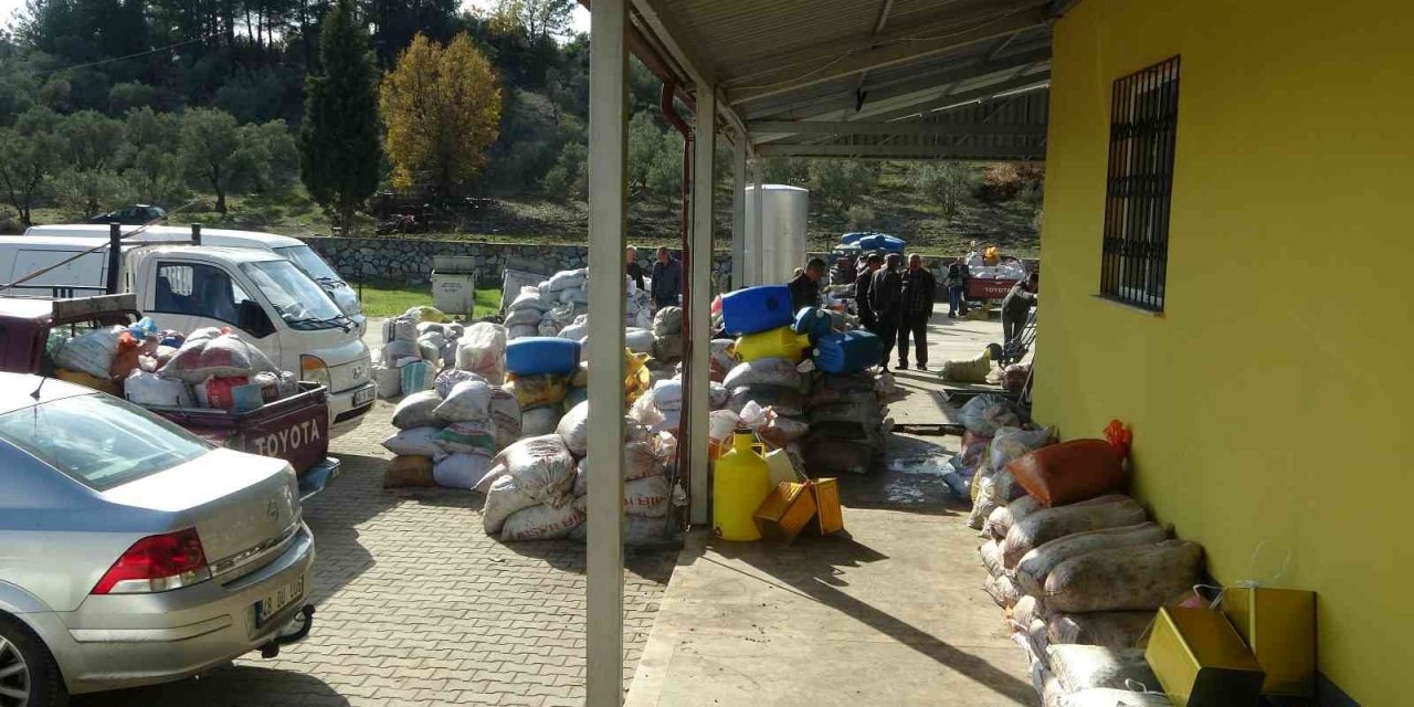 Muğla’daki fabrikalarında 7 gün 24 saat zeytinyağı nöbeti