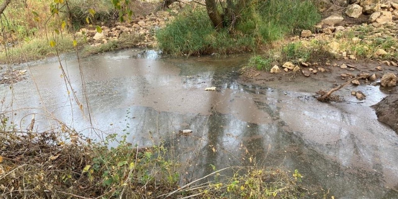 Gediz Nehri için tehlike çanları çalıyor