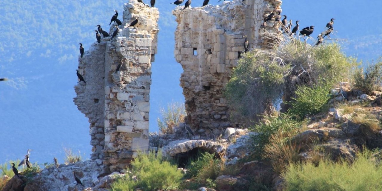 Uygarlıklar Kavşağı Aydın, tarihe ev sahipliği yapmaya devam ediyor