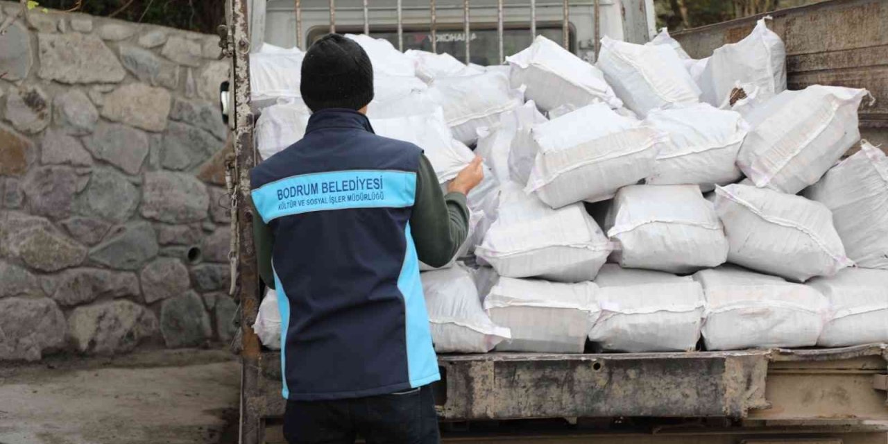 Belediyeden vatandaşlara yakacak desteği