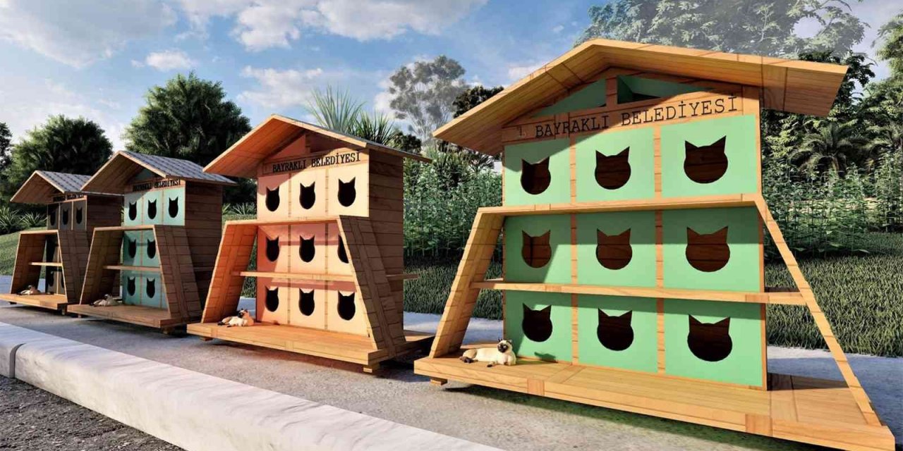 Bayraklı Belediyesinden sokak kedilerine sıcak yuva