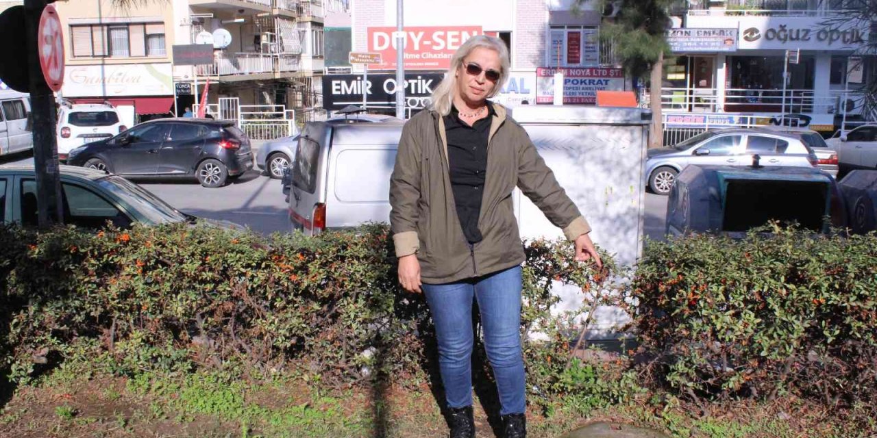 Başına ağaç düştü, tazminat kazandı