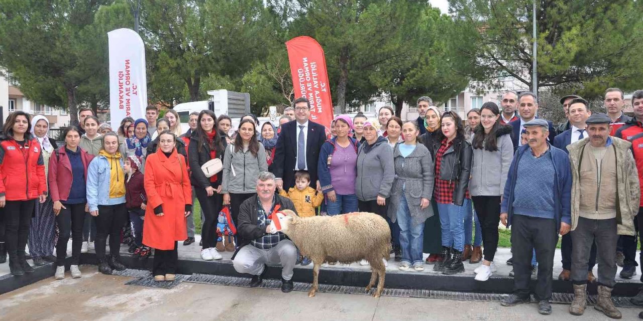 Kadın üreticilere 400 koyun ve 16 koç dağıtıldı