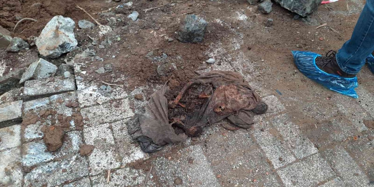 Ev değil hayvan mezarlığı