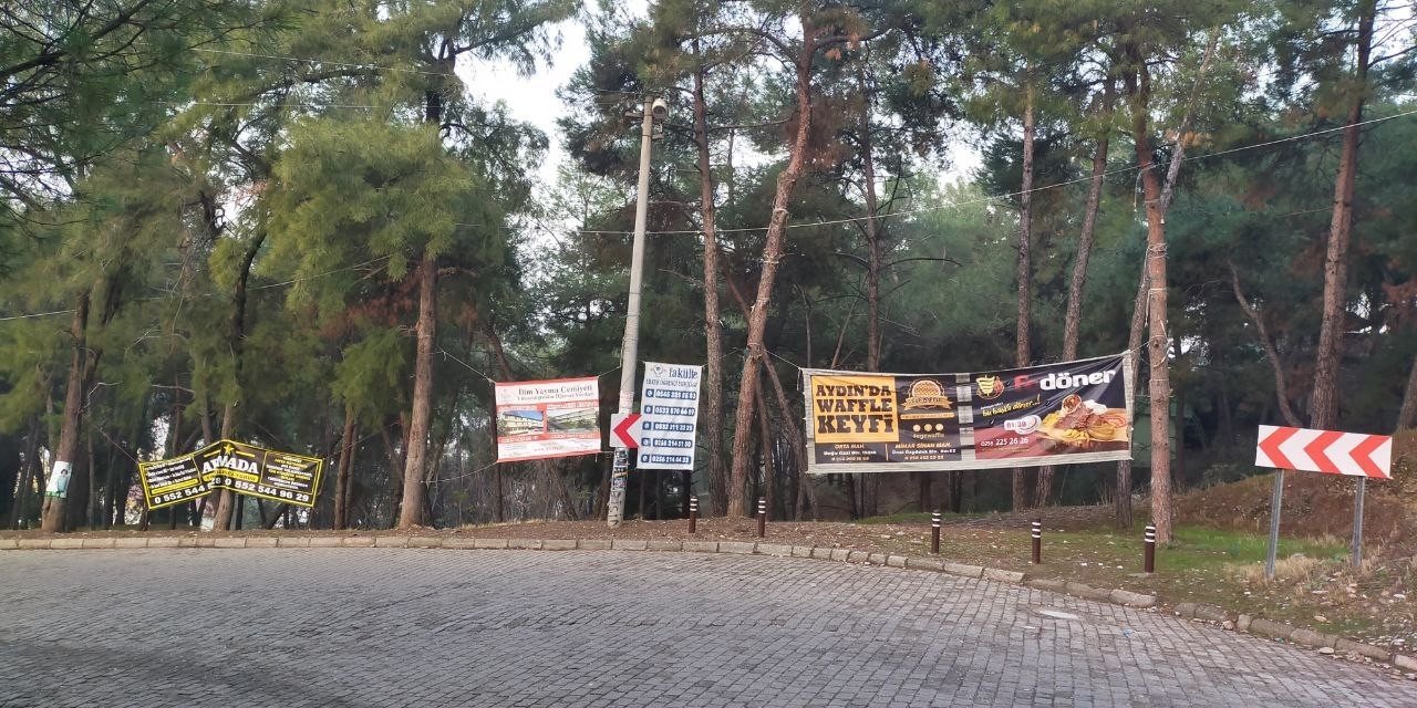 Aytepe varyantındaki ağaçlar reklam panosuna döndü