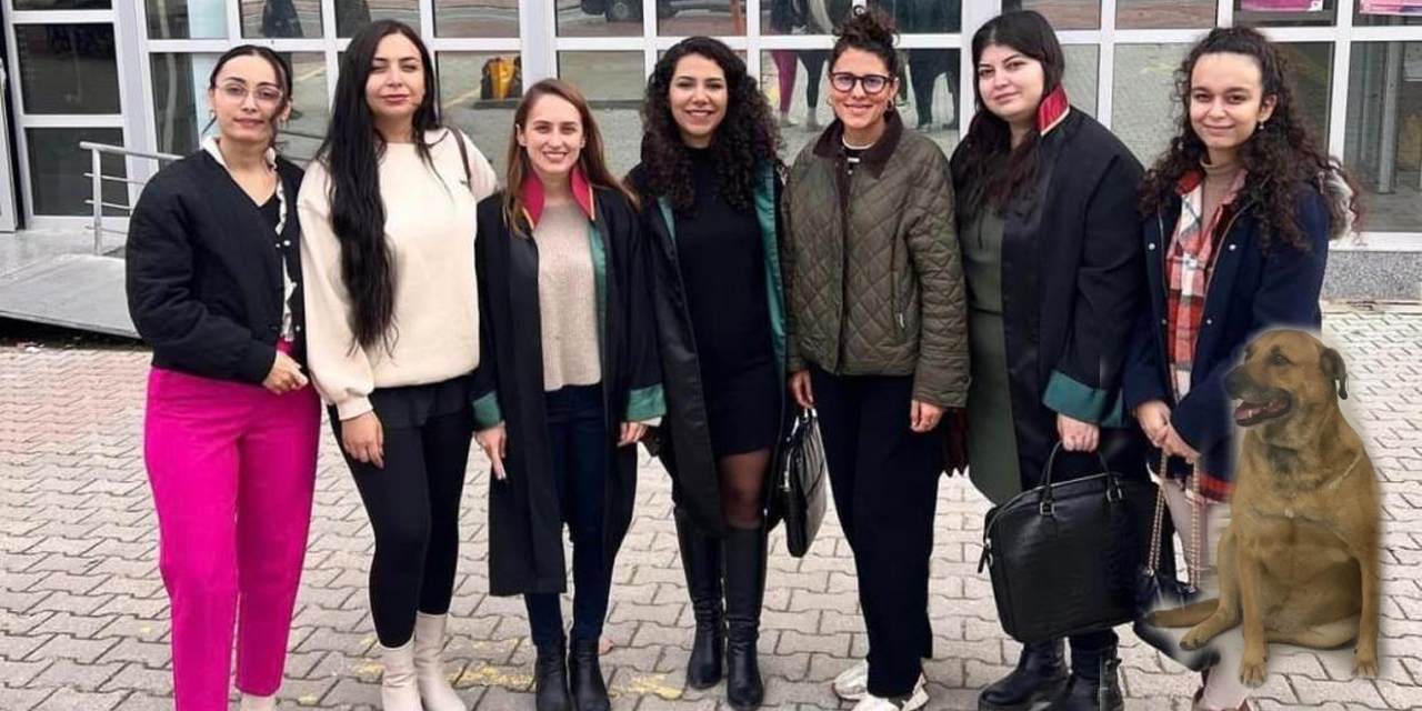 Köpeği tüfekle öldüren yaşlı adama 5 yıl 9 ay hapis cezası