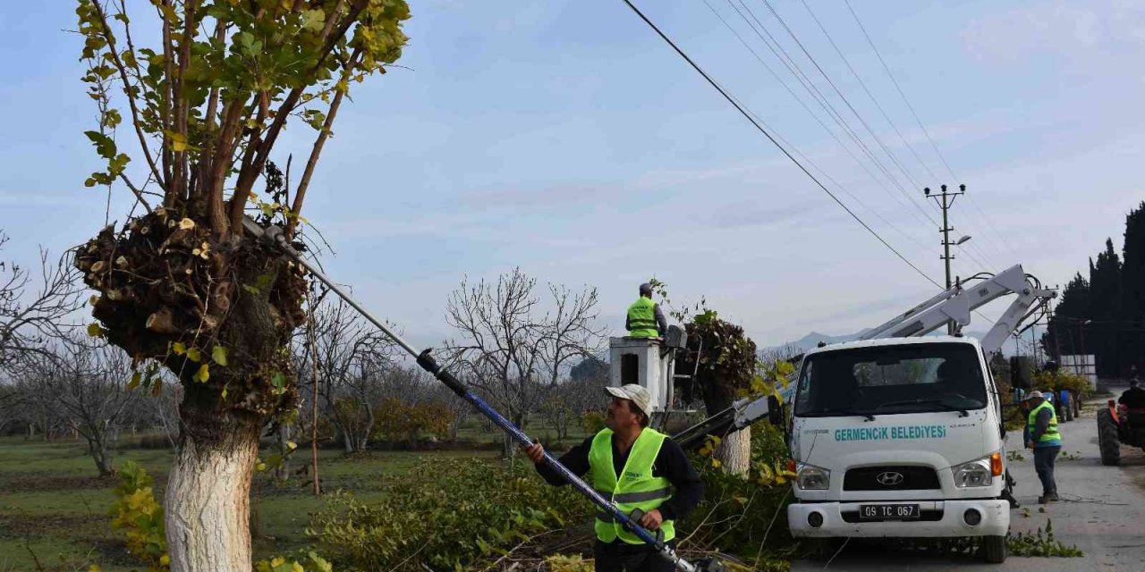 Germencik’te budanan ağaç dalları ihtiyaç sahiplerine veriliyor
