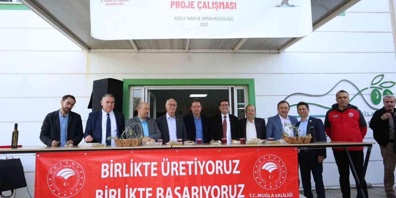 Muğla’da ’Organik Zeytinyağının Öyküsü’ projesi tanıtım toplantısı gerçekleştirildi