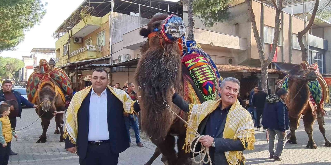 Buharkent’te güreşecek develer şehir turuna çıktı