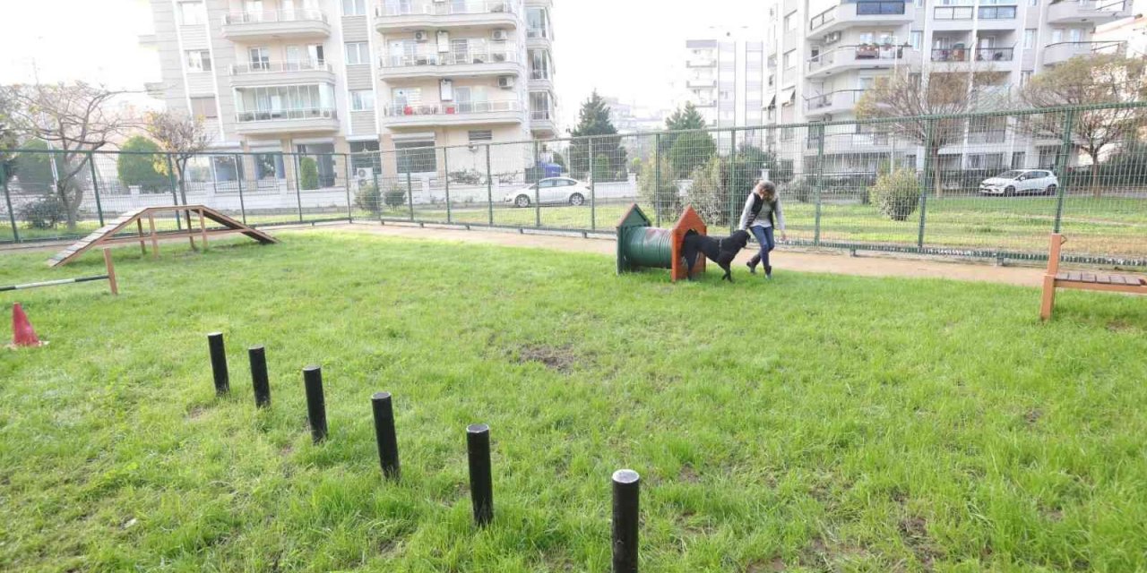 Bayraklı’da evcil hayvanlar için ‘Pati Park’