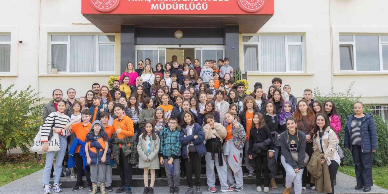 Çocukların zeytin hasadı sevinci