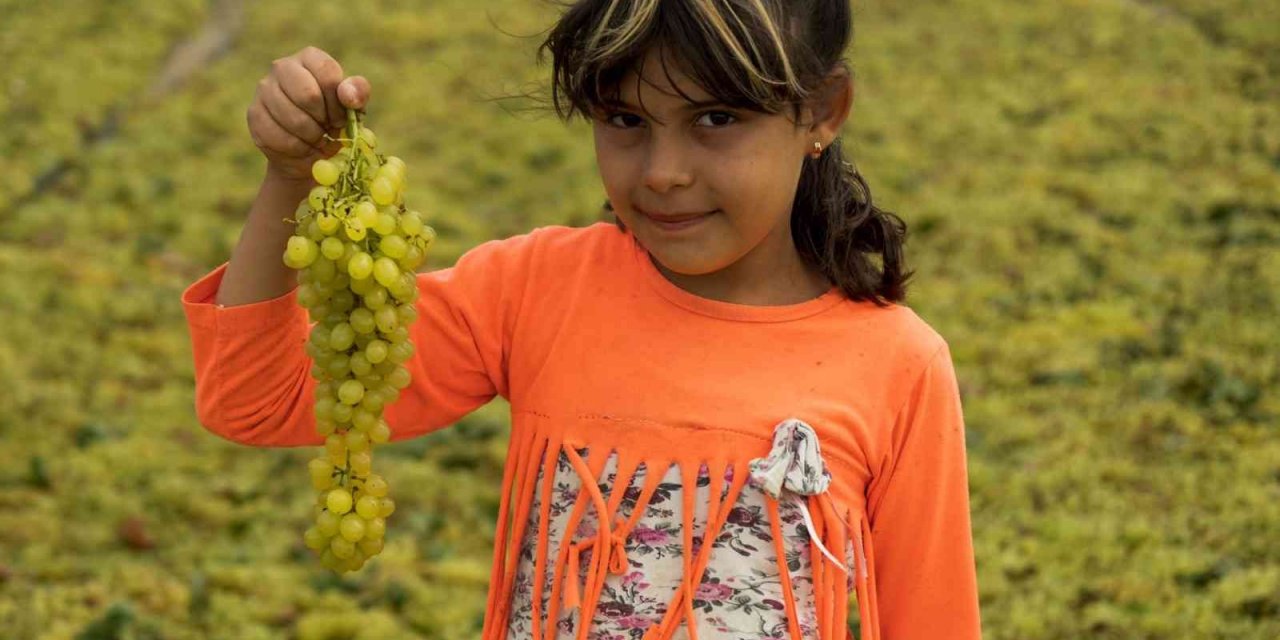 Onlar için üzüm sadece üzüm değil