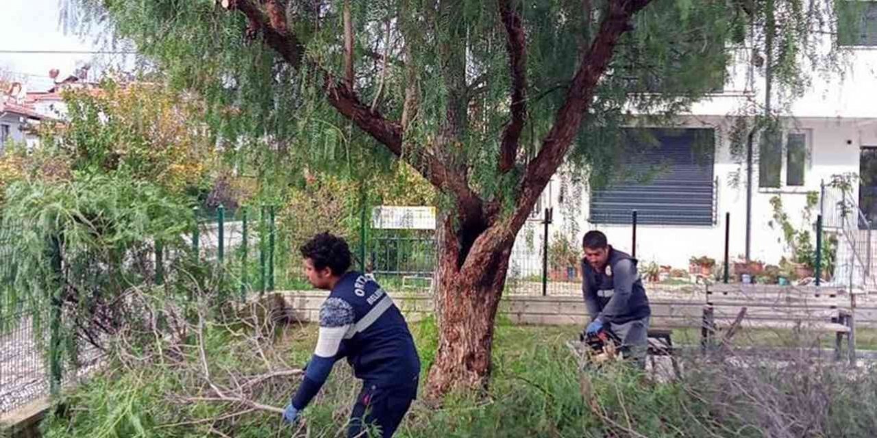 Ortaca’da ‘Yeşil’ seferberlik