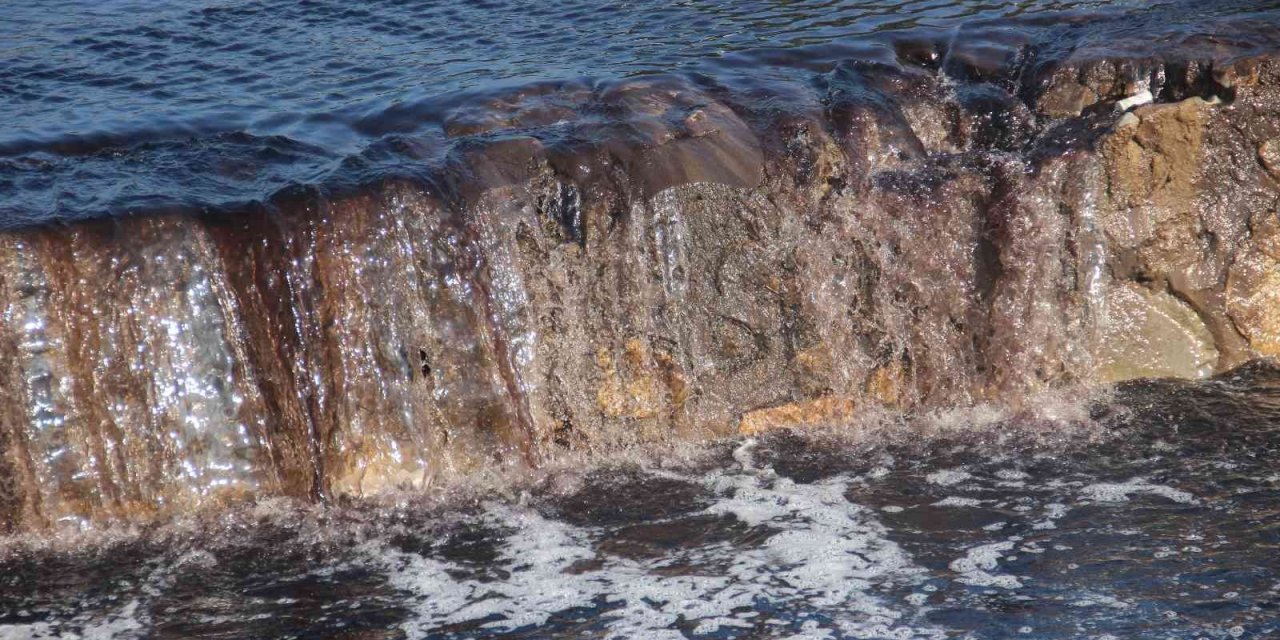 Zeytin sezonu başladı, Köşk Çayı siyaha büründü