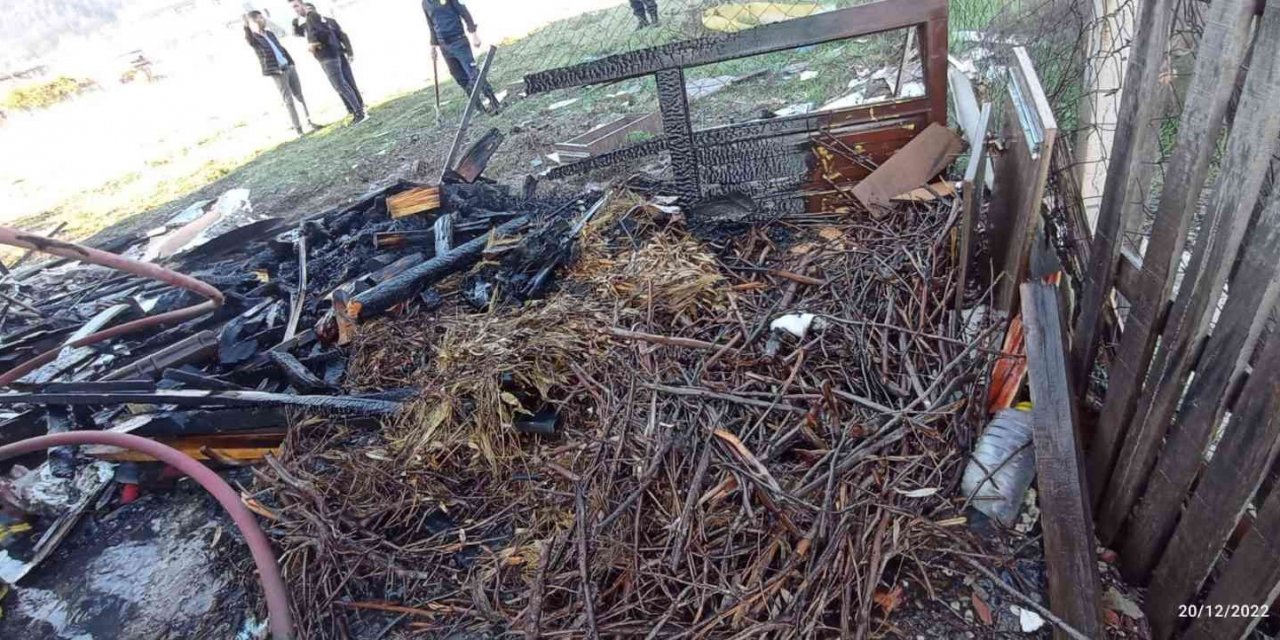 Bahçedeki odunlar tutuştu ev yanmaktan kurtuldu