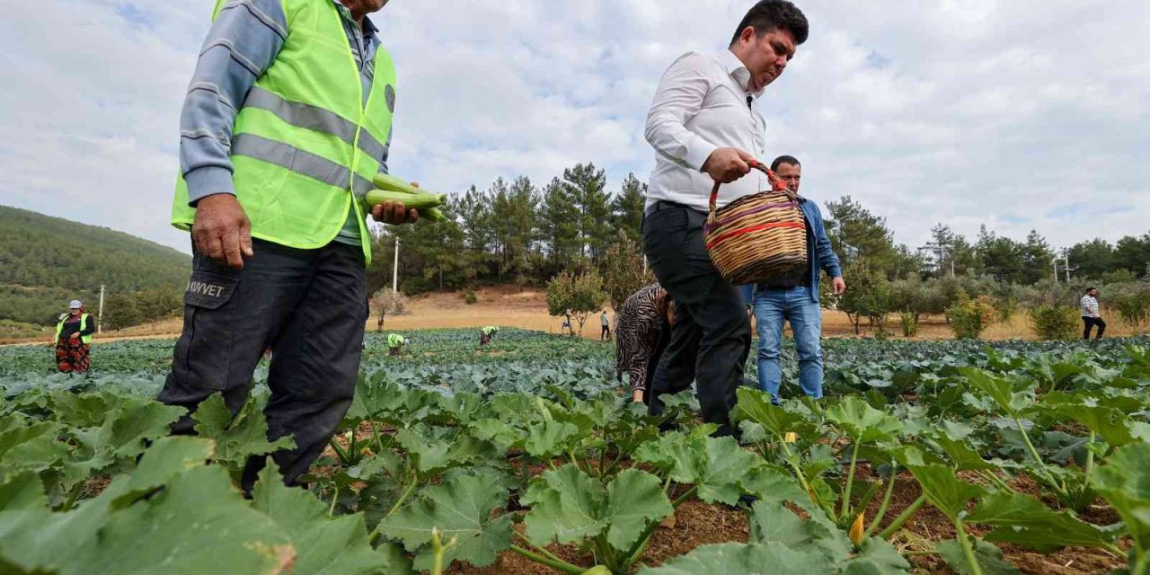 Buca’da belediye-kooperatif iş birliği tarımı canlandırdı