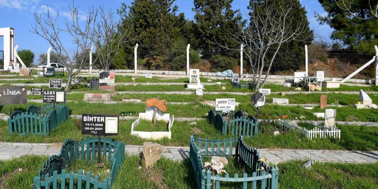 Kuşadası hayvan mezarlığına 3 yılda 335 hayvan gömüldü