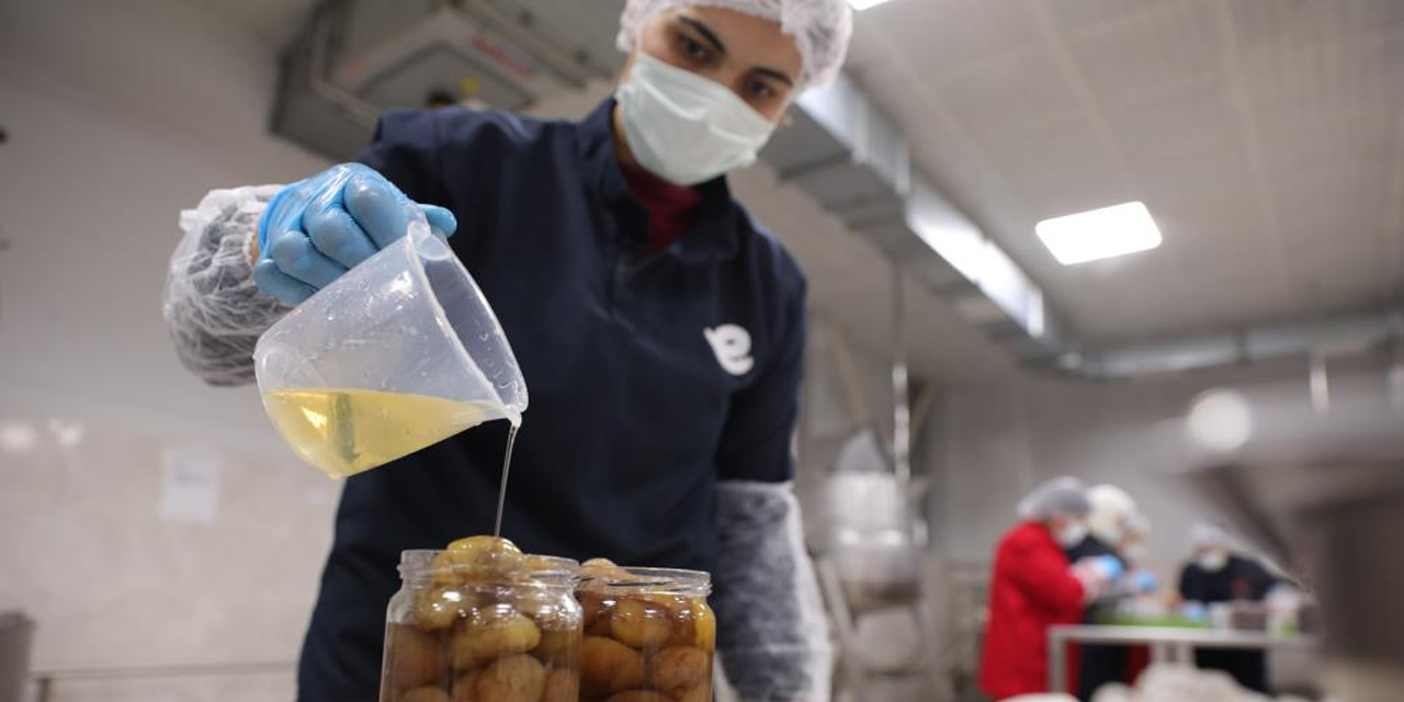 Efeler Belediyesi kestane şekeri üretimine başladı