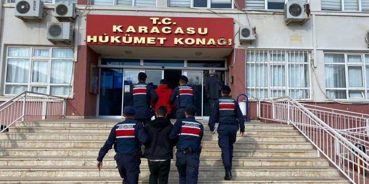 Karacasu’da zeytin hırsızları yakalandı