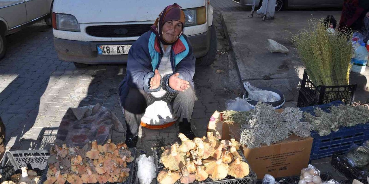 Çıntar köylünün geçim kaynağı oldu