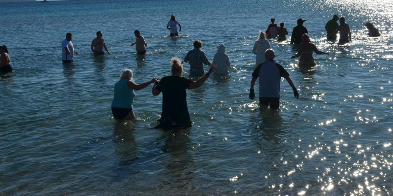 Didim’de yabancılar sokak hayvanları için bu yıl da denize girdi