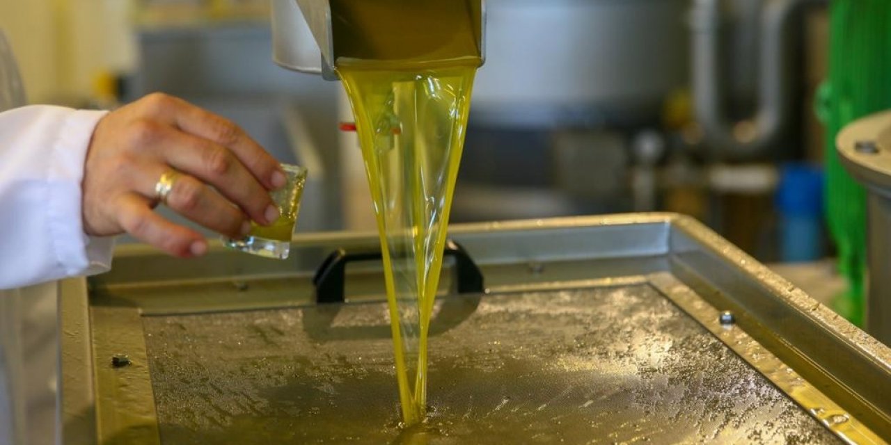 Yeni Şakran’ın aromatik zeytinyağları sofralardaki yerini alıyor