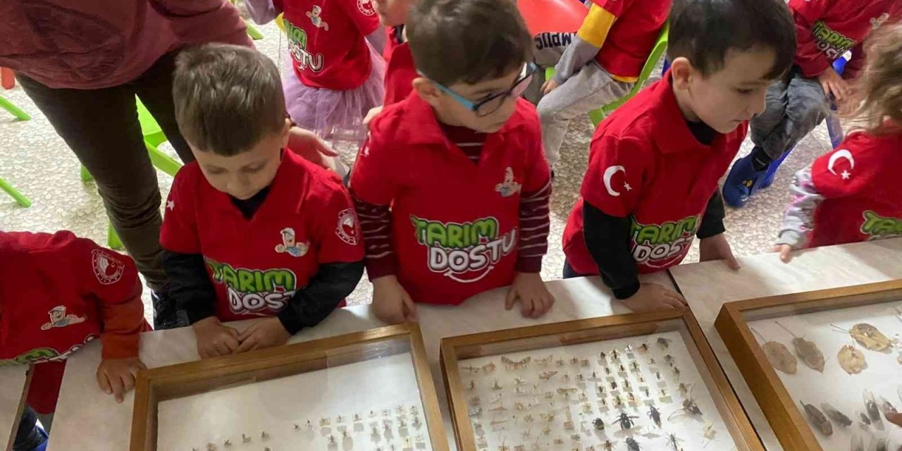 Öğrenciler böcek korkularını yendi