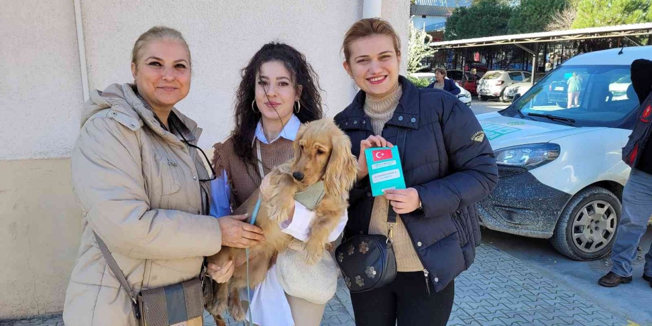Kedisini, köpeğini getiren mikroçip sırasına girdi