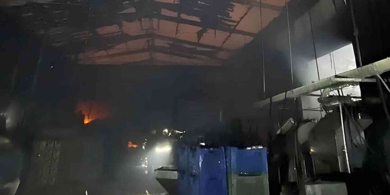 Zeytin fabrikasında çıkan yangın büyük çapta maddi hasara yol açtı